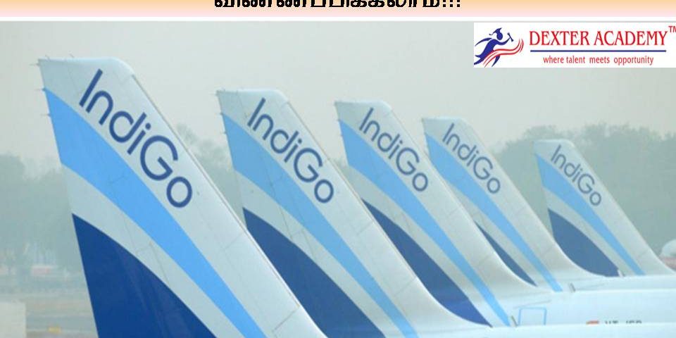 Indigo Airlines நிறுவனத்தில் Ground Staff பணிக்கு வேலைவாய்ப்பு - டிகிரி முடித்தவர்கள் விண்ணப்பிக்கலாம்!!!